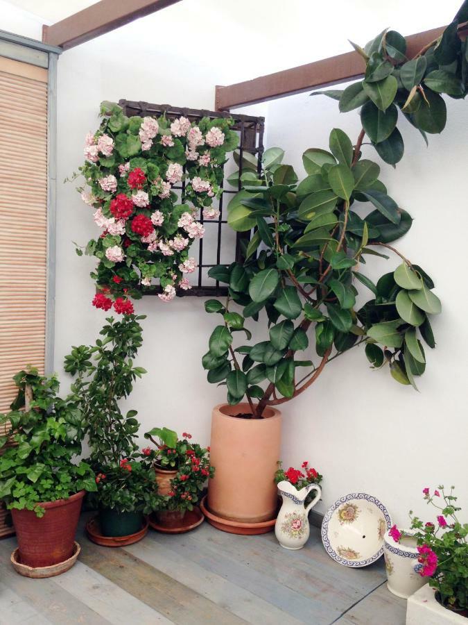 Patio San Lorenzo Kordoba Bagian luar foto