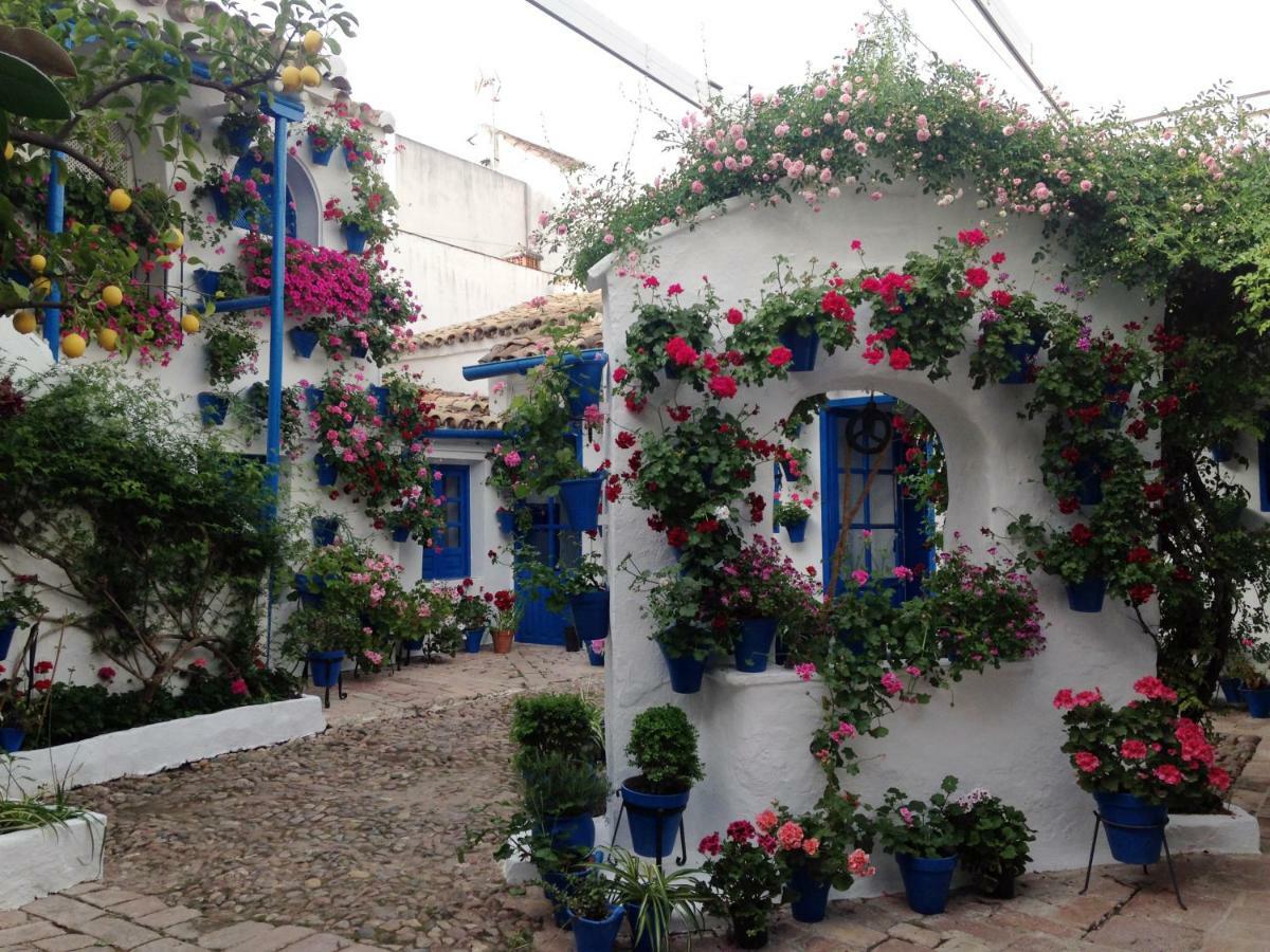 Patio San Lorenzo Kordoba Bagian luar foto